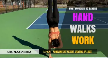 Banded Hand Walks: Targeted Muscles and Full-Body Benefits Explained