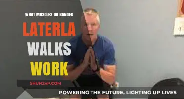 Banded Lateral Walks: Target Muscles and Benefits Explained