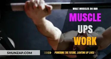 Muscles Targeted by Bar Muscle Ups: A Comprehensive Breakdown