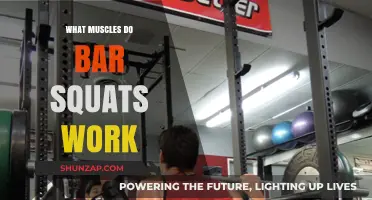 Bar Squats: Target Muscles and Full-Body Strength Benefits Explained
