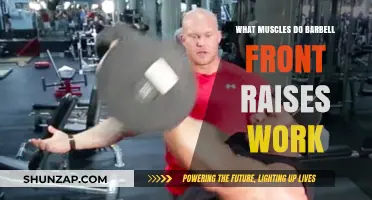 Barbell Front Raises: Targeted Muscles and Effective Workout Benefits