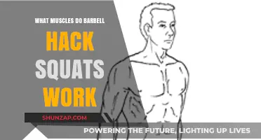 Barbell Hack Squats: Targeted Muscles and Benefits Explained