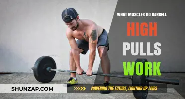 Barbell High Pulls: Targeted Muscles and Full-Body Benefits Explained
