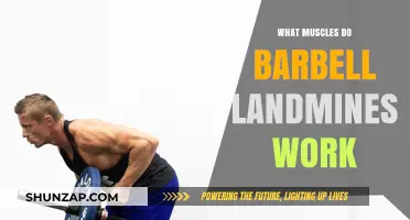 Barbell Landmine Workout: Targeted Muscles and Benefits Explained