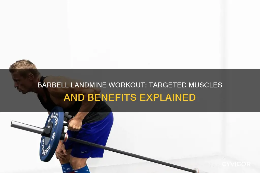 what muscles do barbell landmines work