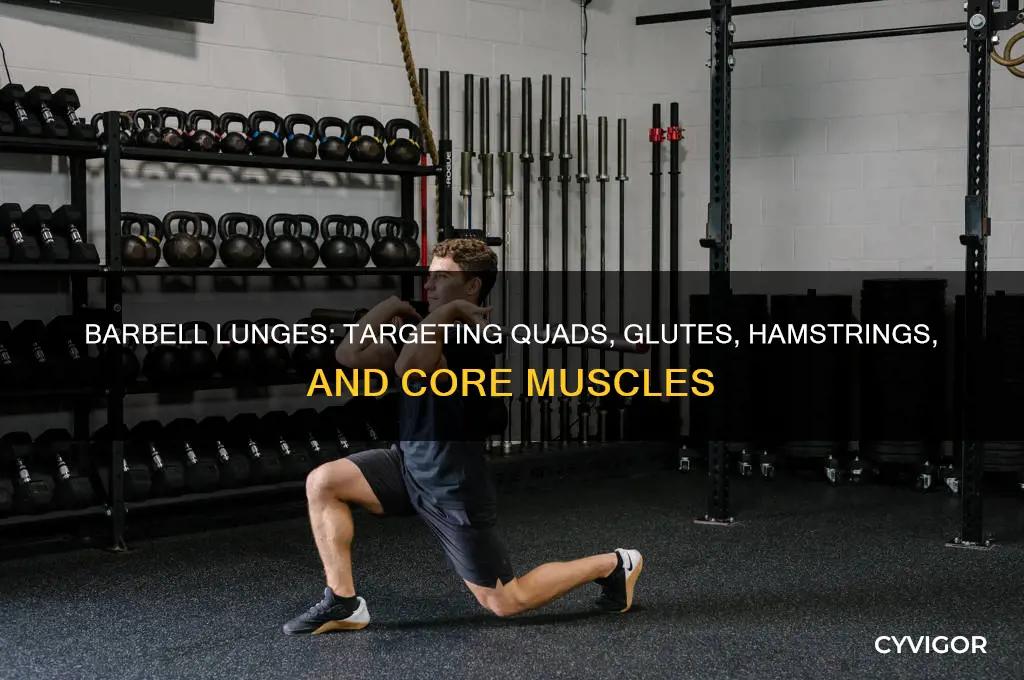 what muscles do barbell lunges work