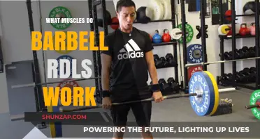 Barbell RDLs: Target Muscles and Benefits for Strength Training