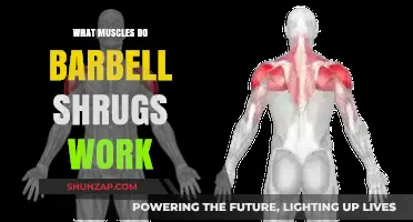 Barbell Shrug Muscles: Targeted Upper Back and Trap Workout