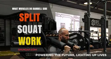 Barbell Side Split Squat: Targeted Muscles and Benefits Explained