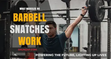 Barbell Snatches: Target Muscles and Full-Body Benefits Explained