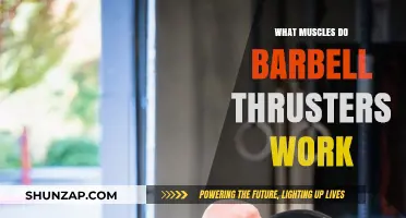 Barbell Thrusters: Targeted Muscles and Full-Body Benefits Explained