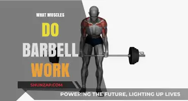 Barbell Workouts: Targeted Muscles and Full-Body Strength Benefits