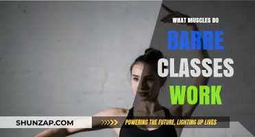 Barre Benefits: Targeted Muscles and Toning in Every Class