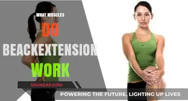 Back Extensions: Target Muscles and Benefits for Strength Training