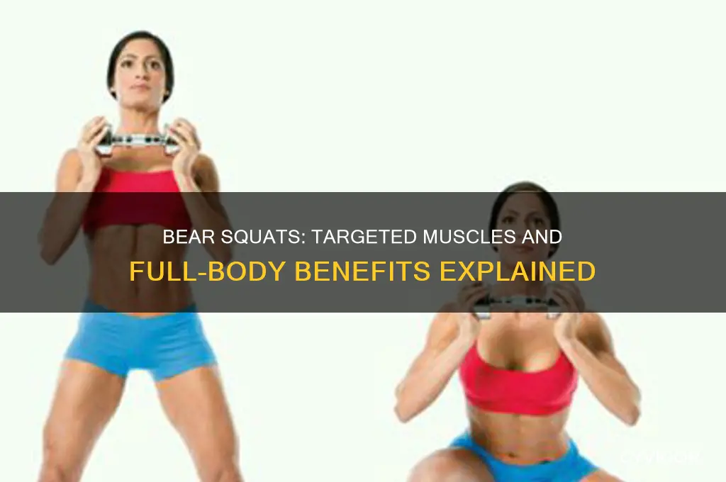 what muscles do bear squats work