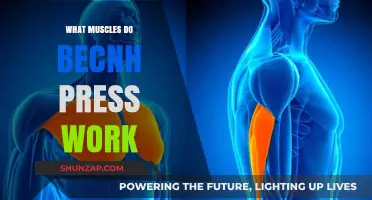Bench Press Muscles: Targeted Chest, Shoulders, and Triceps Workout Explained