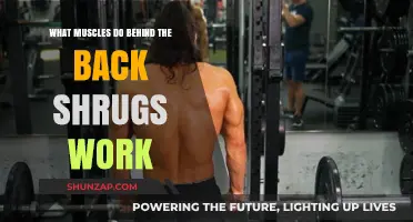 Behind-the-Back Shrugs: Targeted Muscles and Benefits Explained