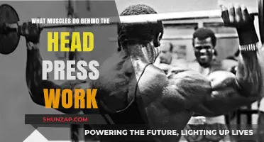 Behind the Head Press: Targeted Muscles and Effective Workout Benefits