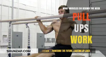 Behind-the-Neck Pull-Ups: Targeted Muscles and Effective Workout Benefits