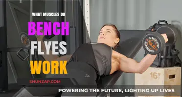 Bench Flyes Muscles: Targeting Chest, Shoulders, and Upper Body Strength