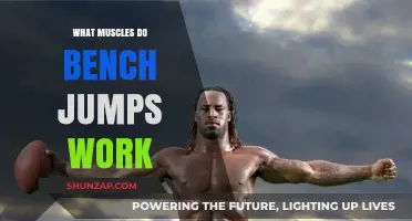 Bench Jumps: Target Muscles and Full-Body Benefits Explained