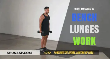 Bench Lunges: Target Muscles and Benefits for Lower Body Strength