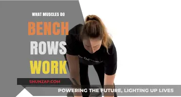 Bench Rows Muscles: Targeted Back, Shoulder, and Arm Strength Training