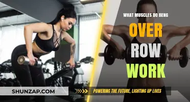 Bent Over Row Muscles: Targeted Back, Shoulder, and Core Activation