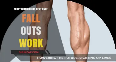 Bent Knee Fall Outs: Targeted Muscles and Core Benefits Explained