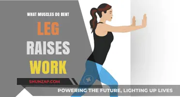 Bent Leg Raises: Target Muscles and Benefits Explained