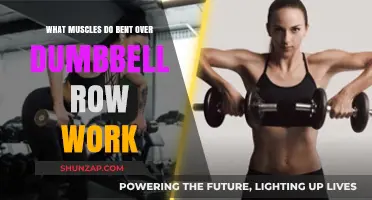 Bent Over Dumbbell Row: Target Muscles and Benefits Explained