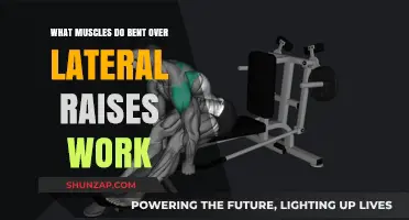 Bent Over Lateral Raises: Targeted Muscles and Benefits Explained