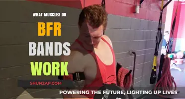 BFR Bands: Targeted Muscles and Enhanced Training Benefits Explained