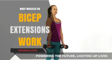 Bicep Extensions: Targeted Muscles and Effective Workout Benefits
