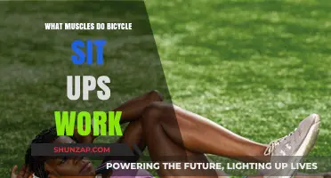 Bicycle Sit-Ups: Targeted Muscles and Core Benefits Explained