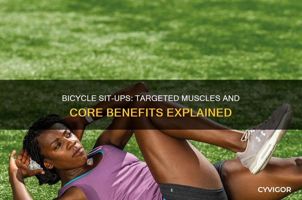 what muscles do bicycle sit ups work