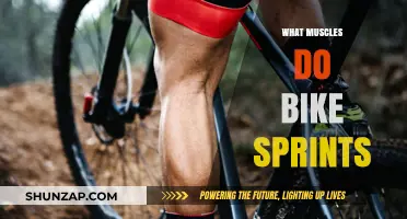 Bike Sprints: Which Muscles Are Getting a Workout?