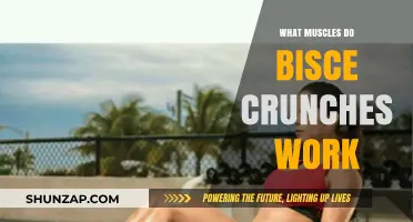 Bicep Crunches: Targeted Muscles and Effective Workout Benefits Explained