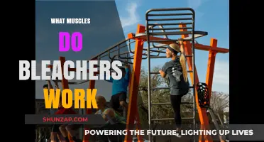 Bleachers Workout: Target Muscles and Benefits Explained