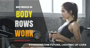 Body Rows: Target Muscles and Benefits for Strength Training