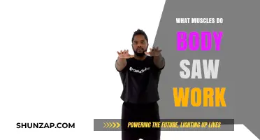 Body Saw Exercise: Target Muscles and Core Benefits Explained