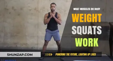Bodyweight Squats: Target Muscles and Full-Body Benefits Explained