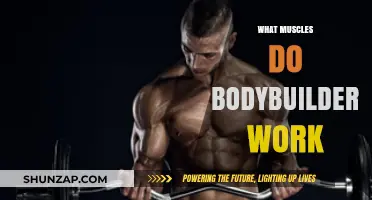 Muscles Bodybuilders Target: A Comprehensive Guide to Their Training Focus