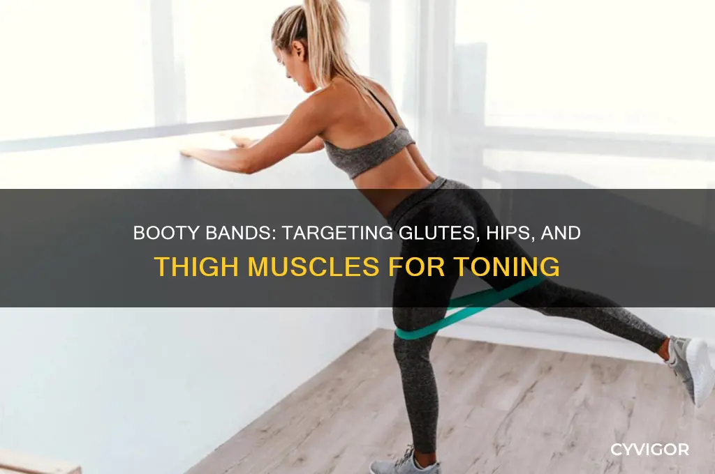what muscles do booty bands work