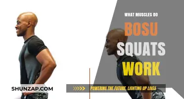 Bosu Squats: Target Muscles and Benefits for Lower Body Strength
