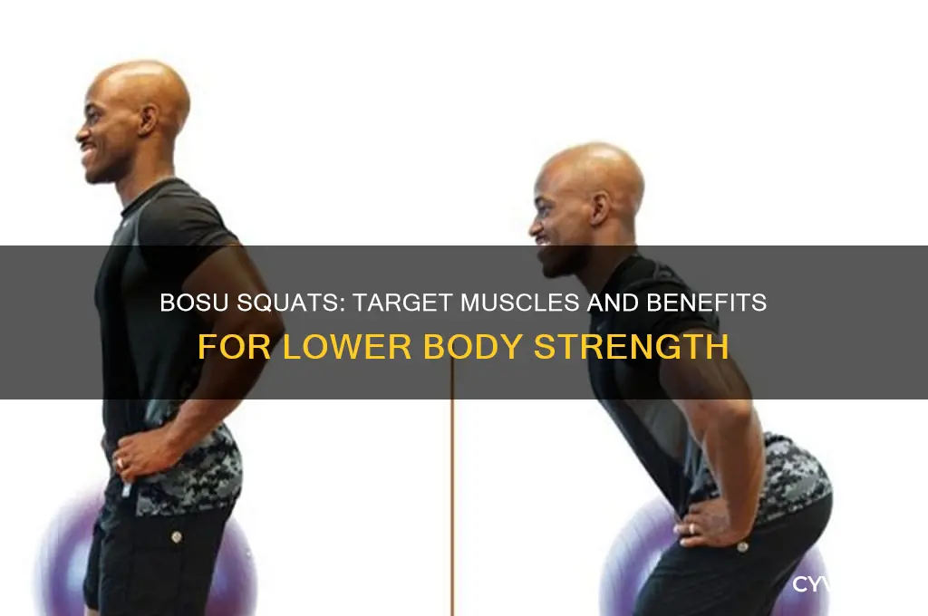 what muscles do bosu squats work