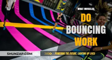 Bouncing Benefits: Muscles Engaged and Strengthened Through Rebounding