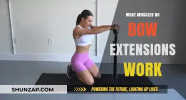 Bow Extensions: Target Muscles and Benefits for Core Strength