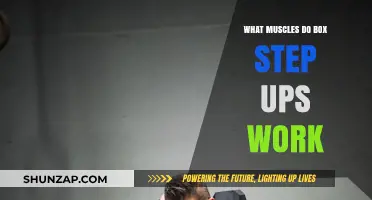 Box Step Ups: Targeted Muscles and Full-Body Benefits Explained