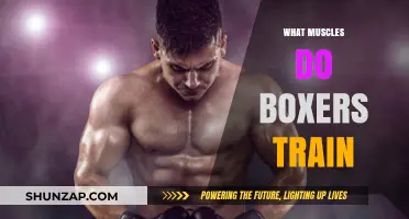 Boxers' Training Secrets: Targeted Muscles for Powerful Punches